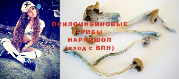 гашик Абинск