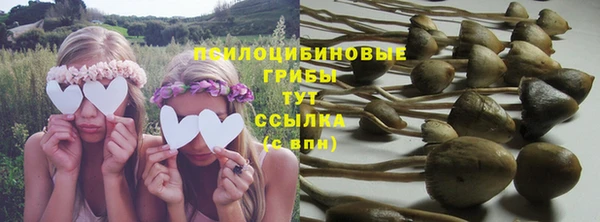 гашик Абинск