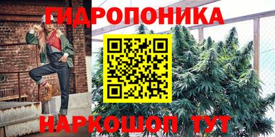 стаф Балашиха