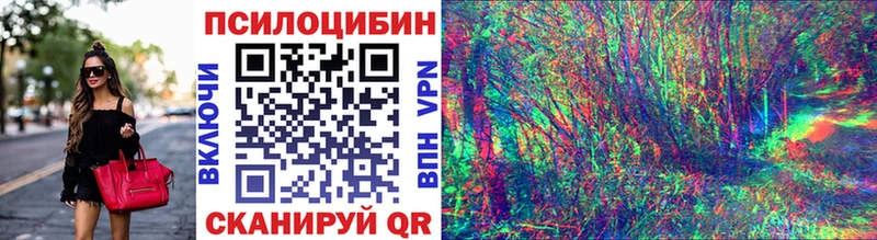 Галлюциногенные грибы Psilocybe  сколько стоит  Братск 