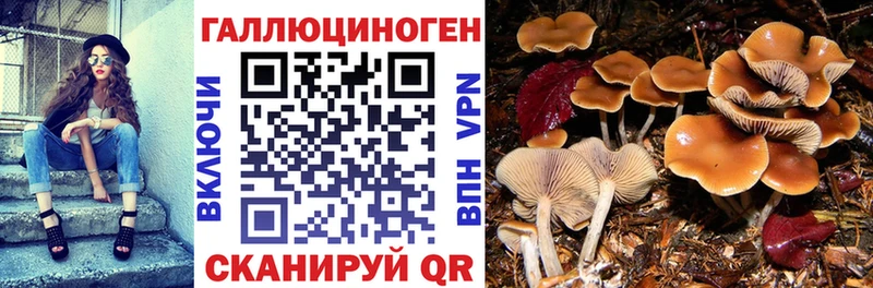 Галлюциногенные грибы MAGIC MUSHROOMS Братск